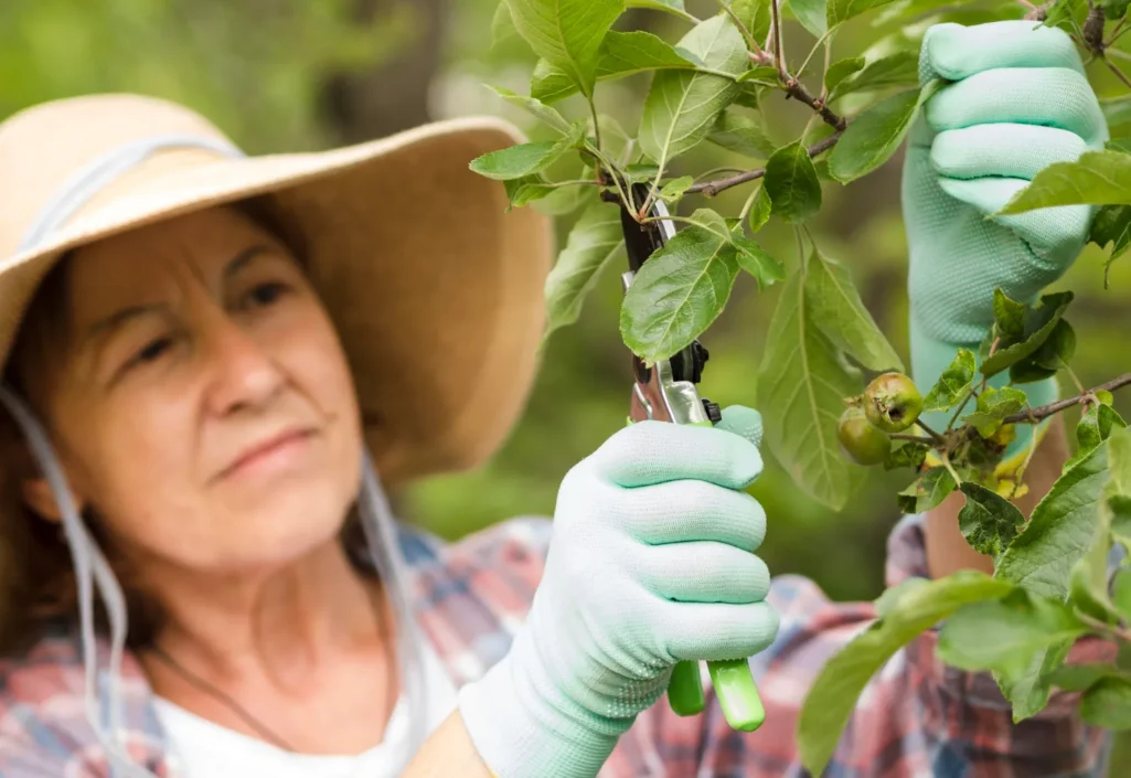 2148580057 2148580057