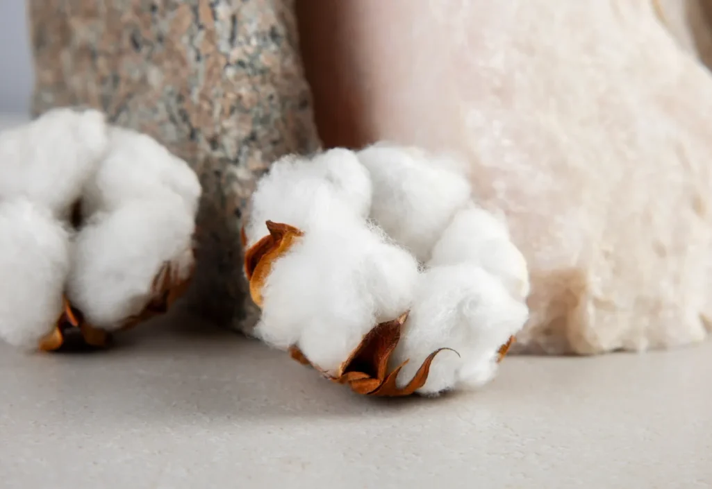 2151158846 2151158846